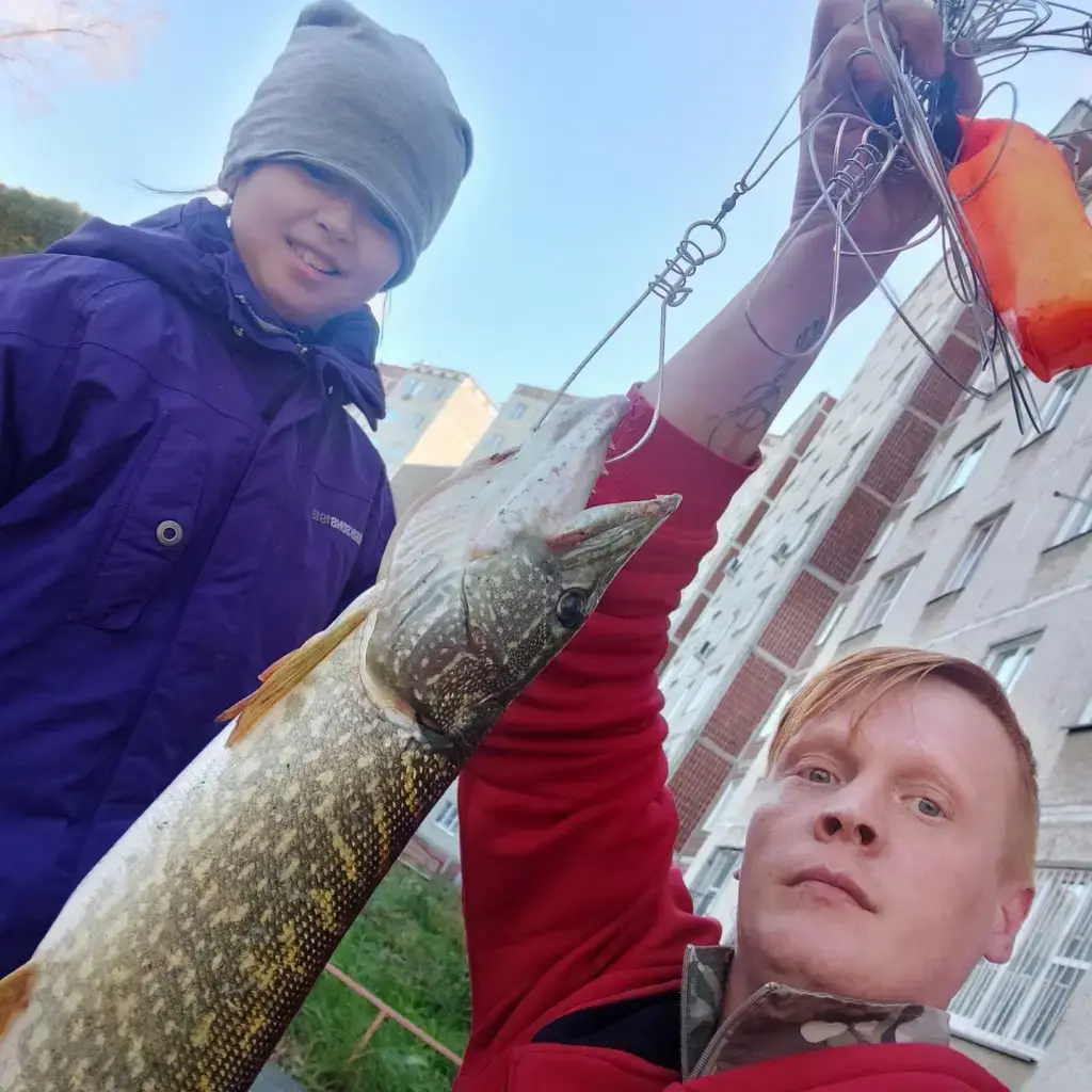 Фото из публикации 1