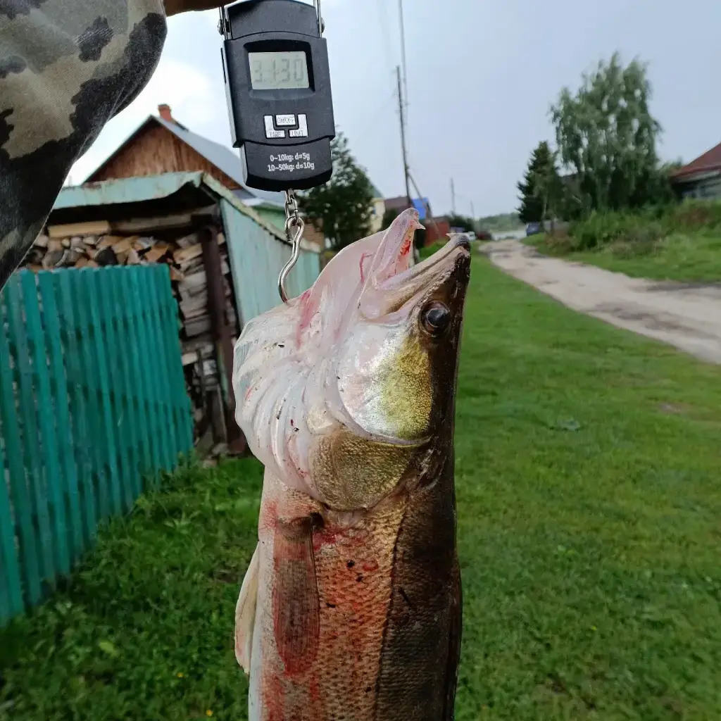 Фото из публикации 1