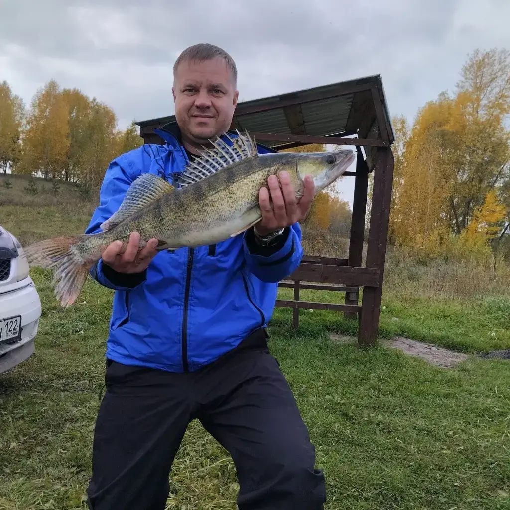 Фото из публикации 1