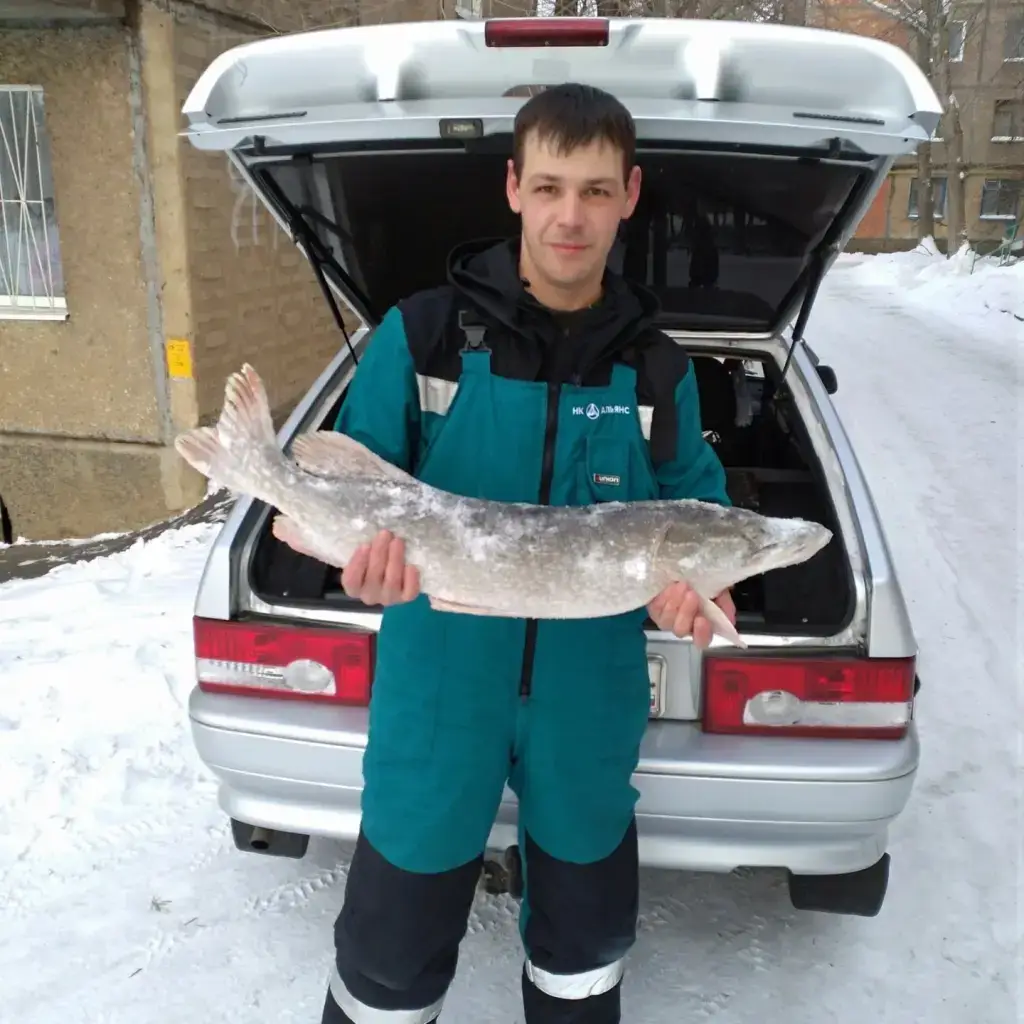 Фото из публикации 1