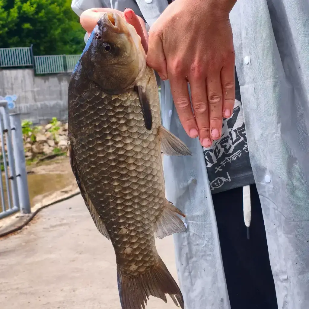 Фото из публикации 1
