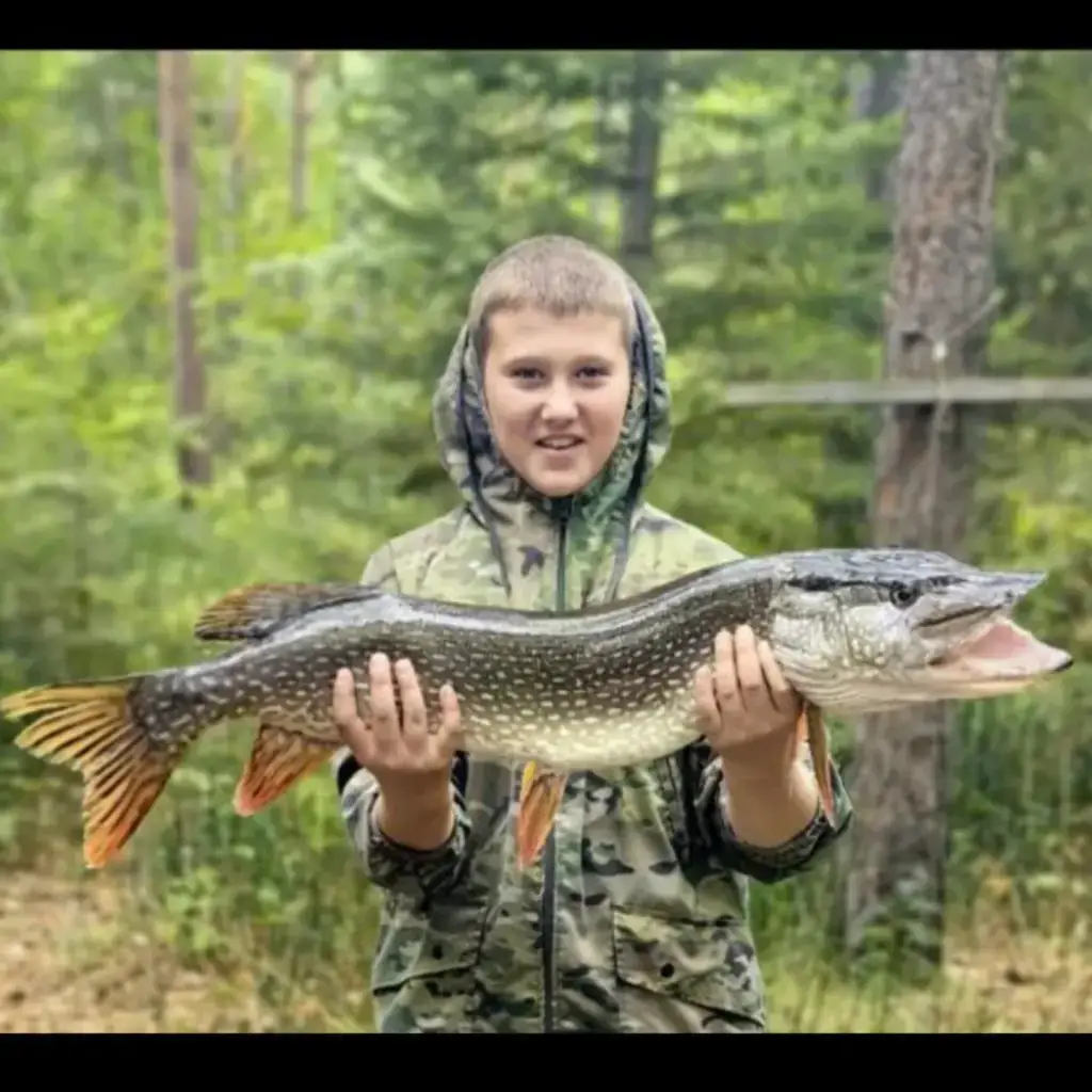 Фото из публикации 1