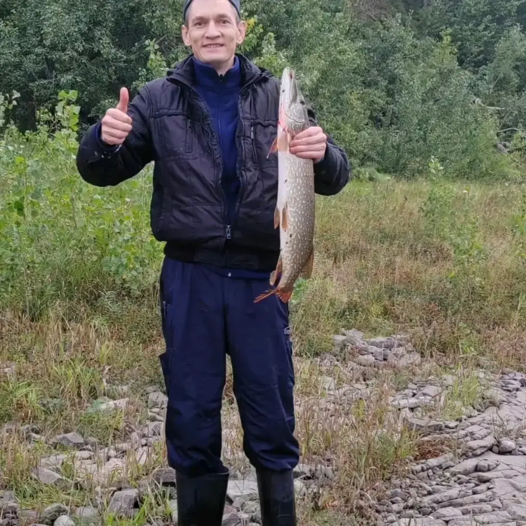 Фото из публикации 1