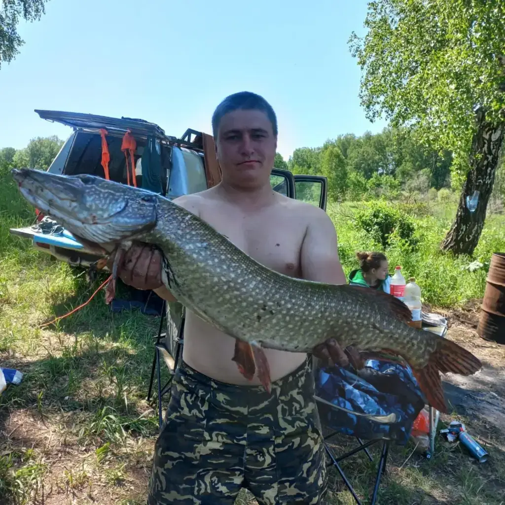 Фото из публикации 1