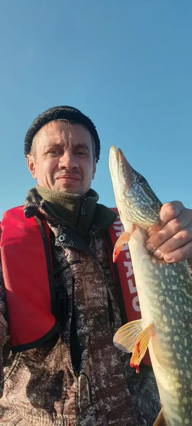 Фото из публикации 2
