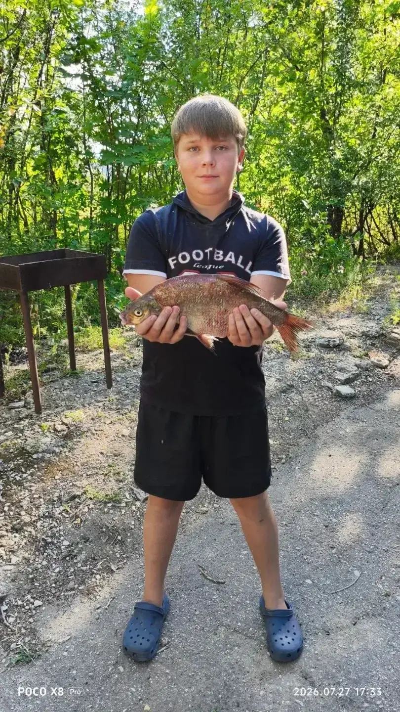 Фото из публикации 1