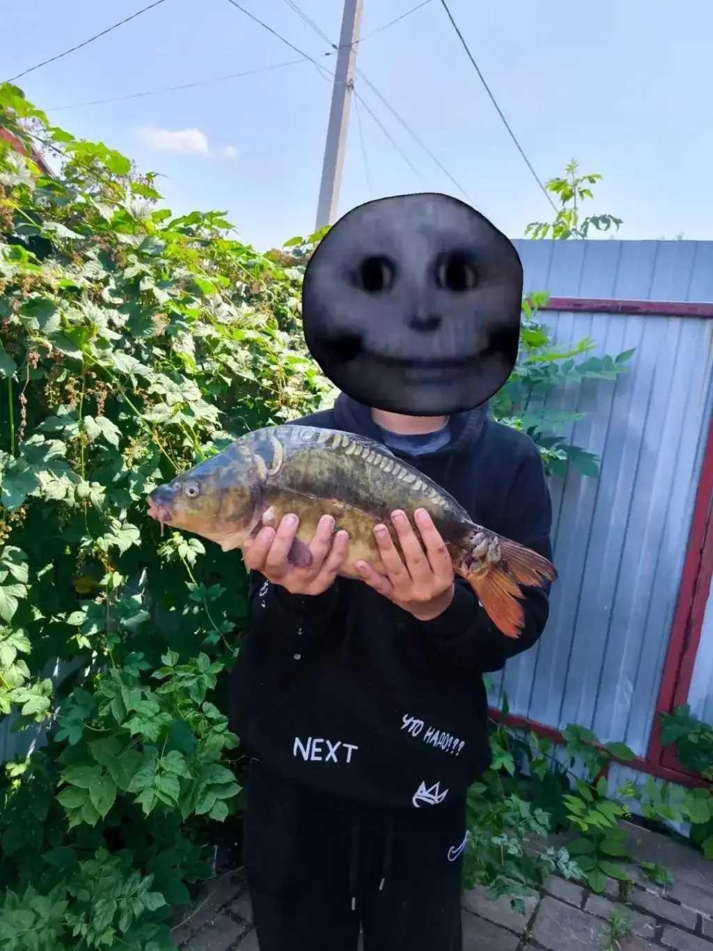 Фото из публикации 1
