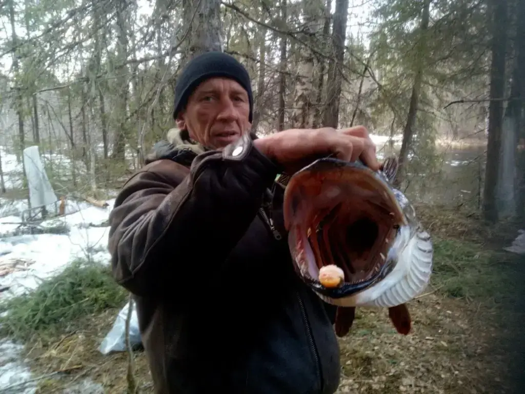 Фото из публикации 2