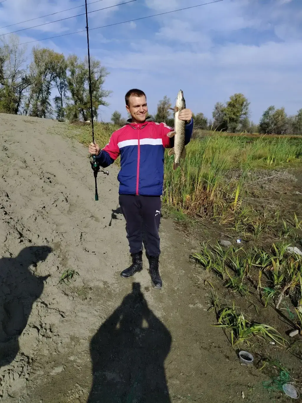 Фото из публикации 1