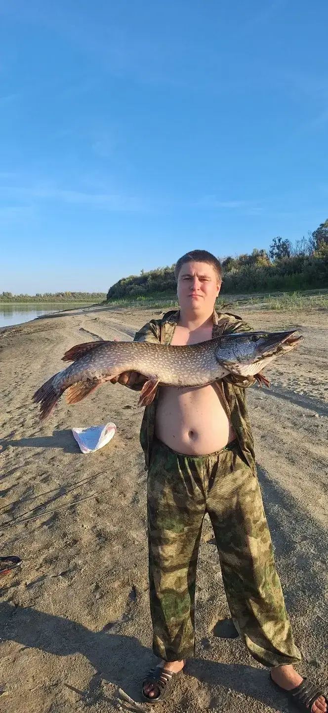 Фото из публикации 1