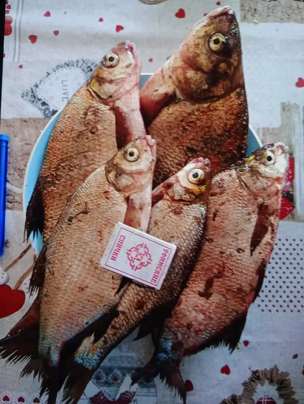 Фото из публикации 3