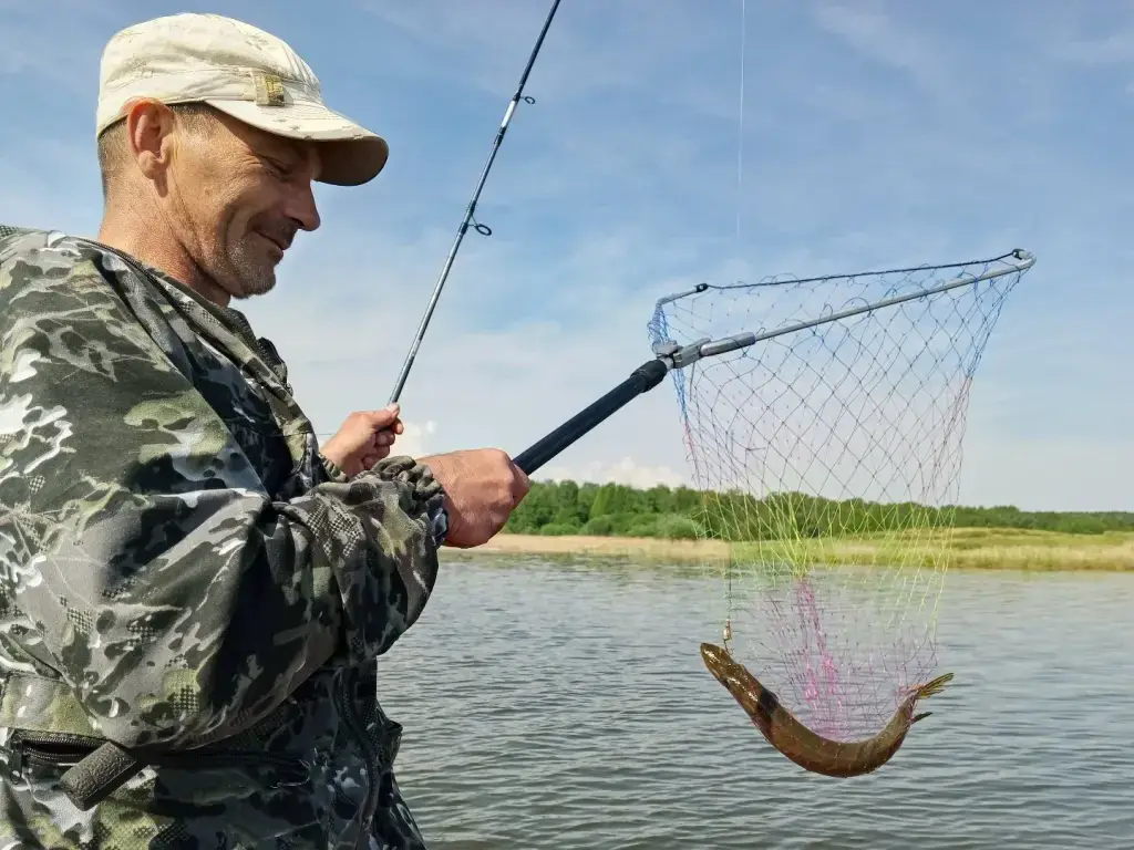 Фото из публикации 3