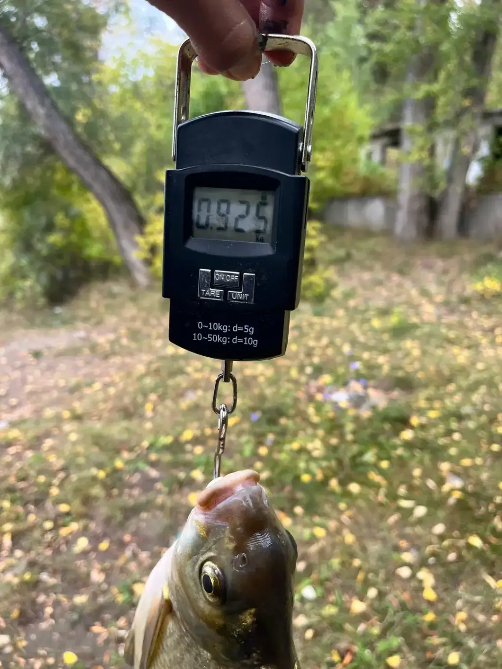 Фото из публикации 3