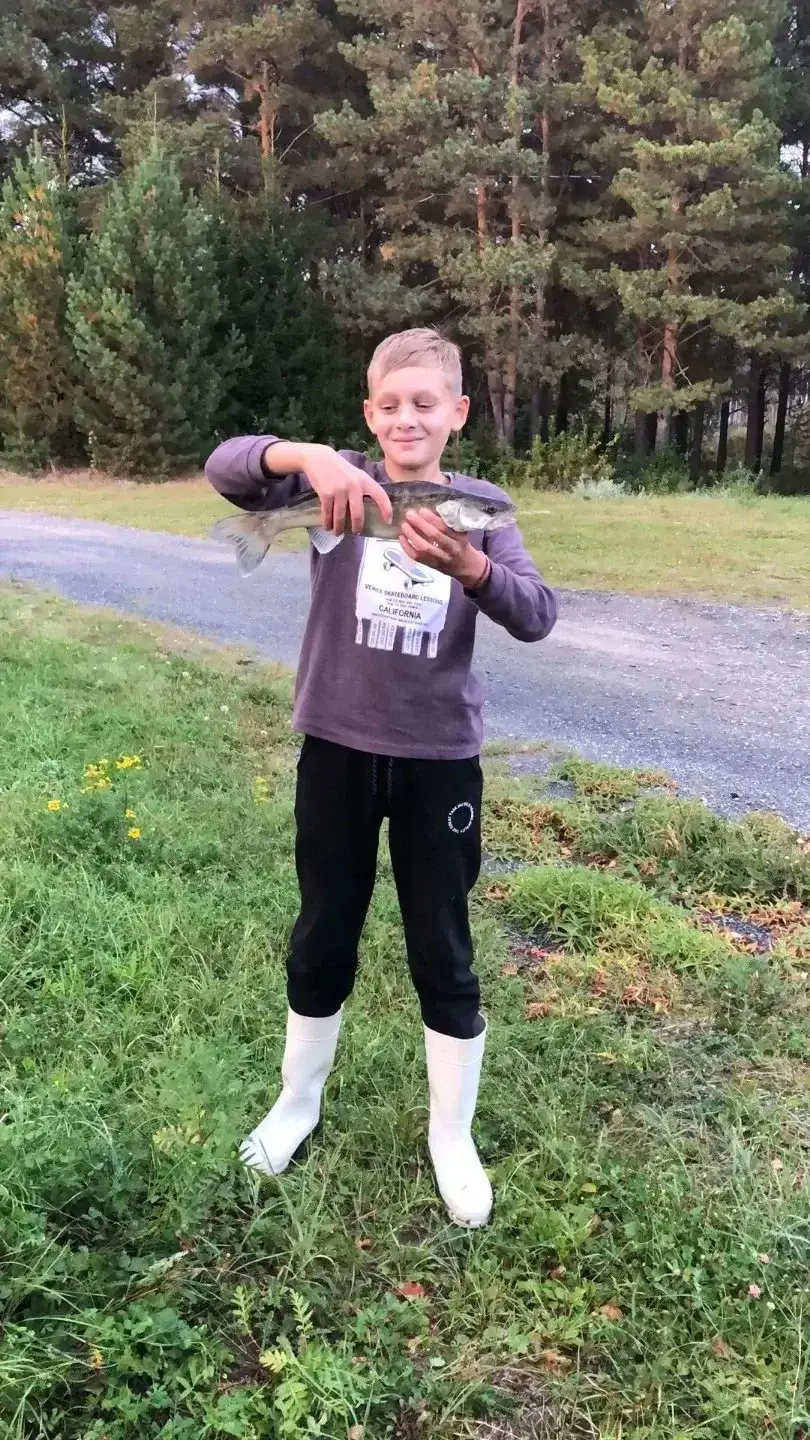 Фото из публикации 1