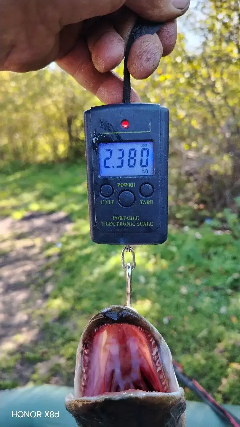 Фото из публикации 2