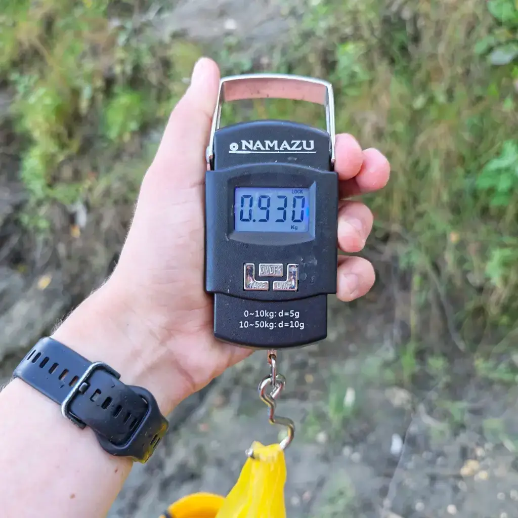 Фото из публикации 4