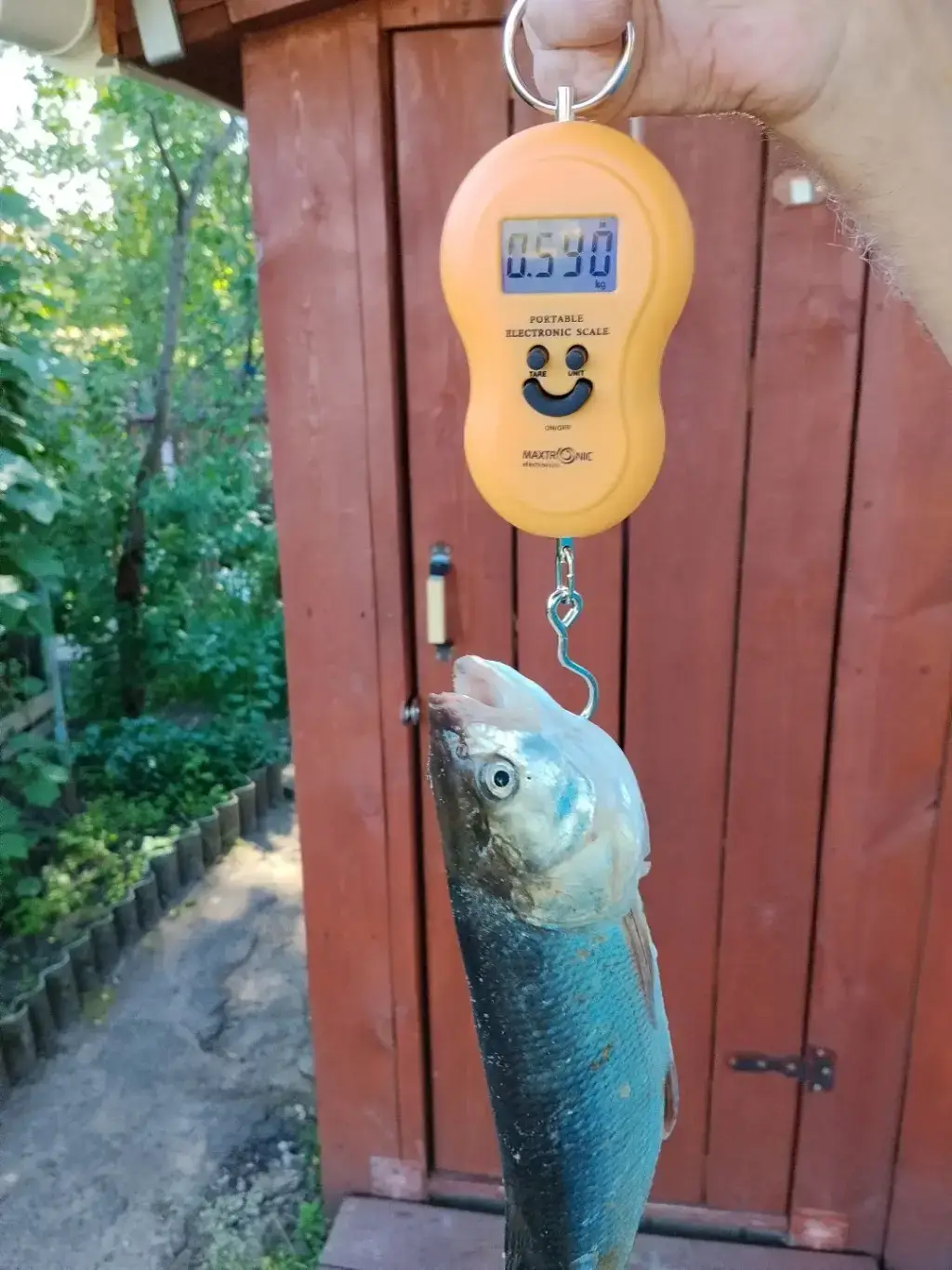 Фото из публикации 3
