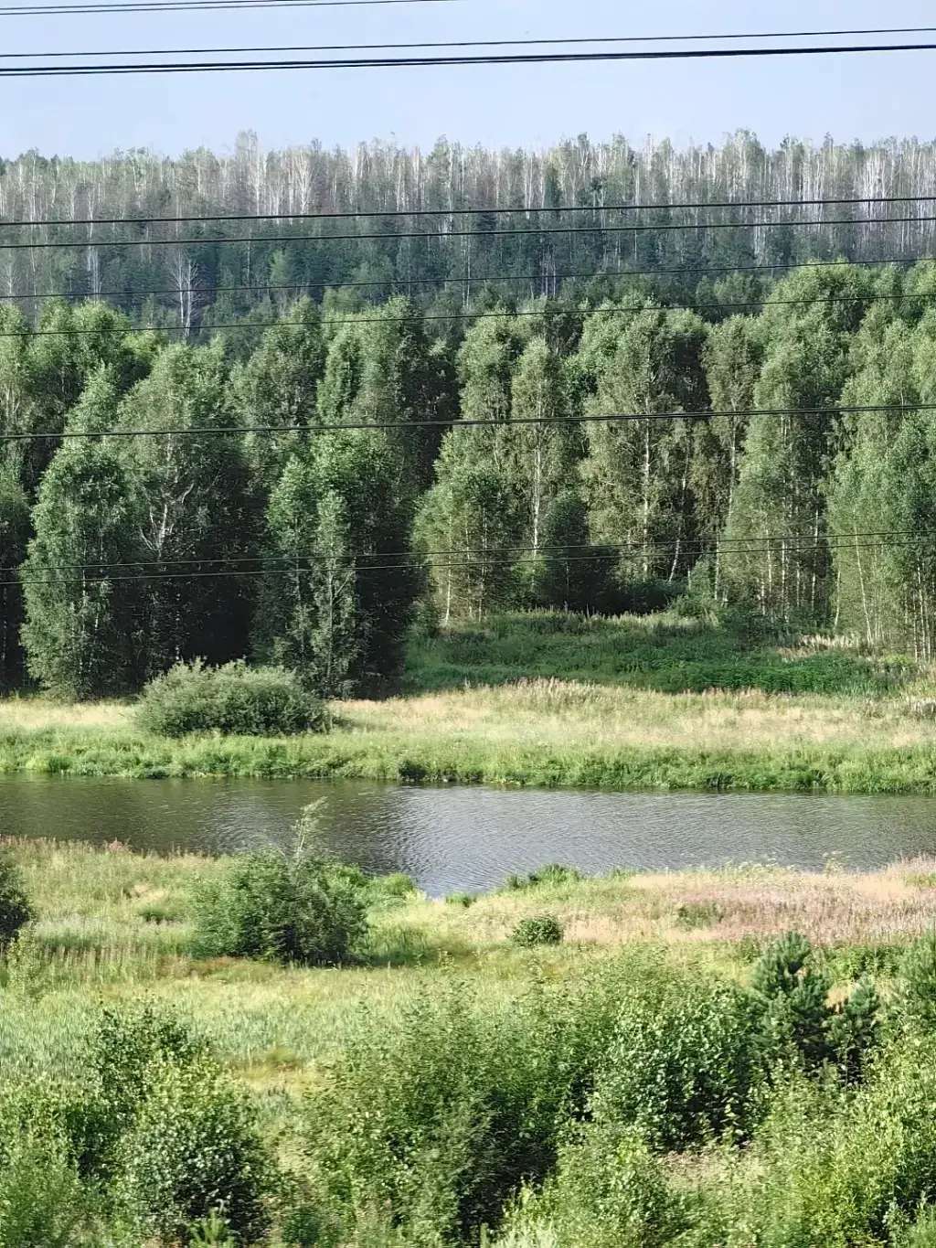 Фото из публикации 4