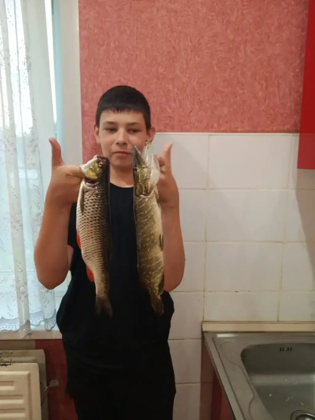 Фото из публикации 1