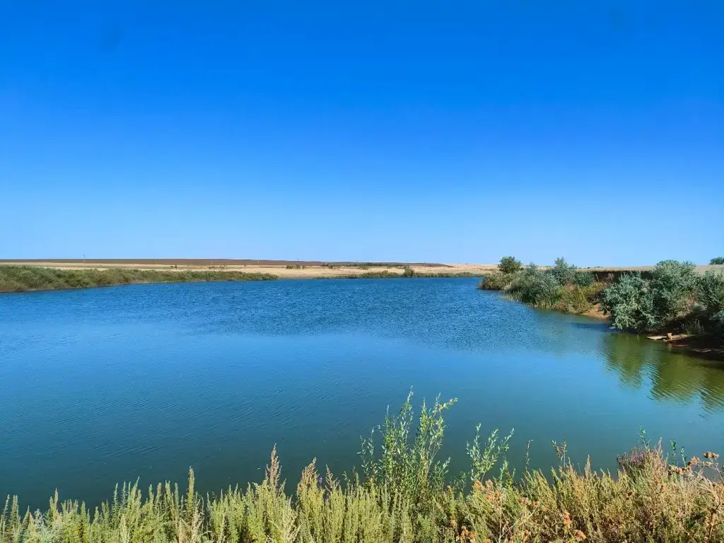 Фото из публикации 1