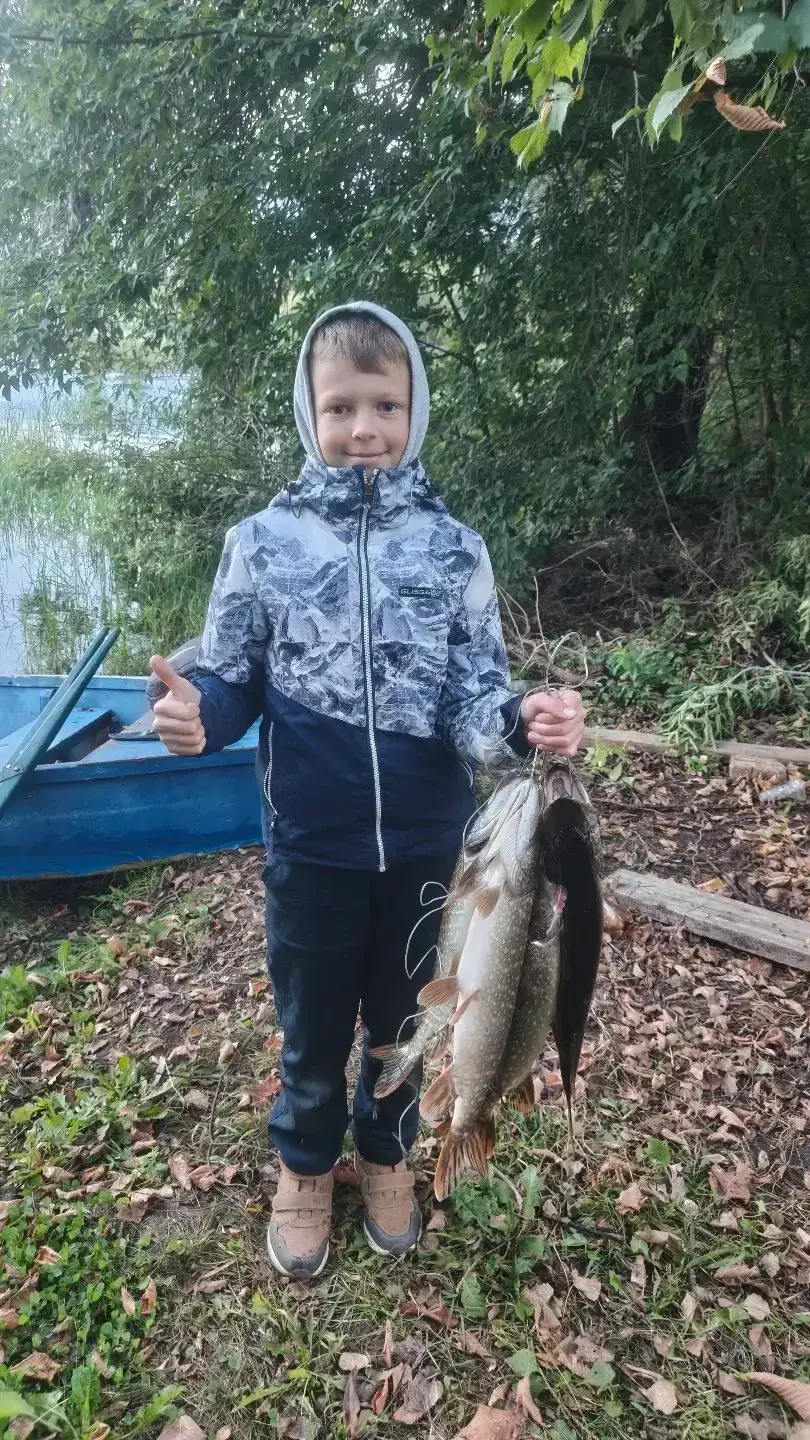 Фото из публикации 2