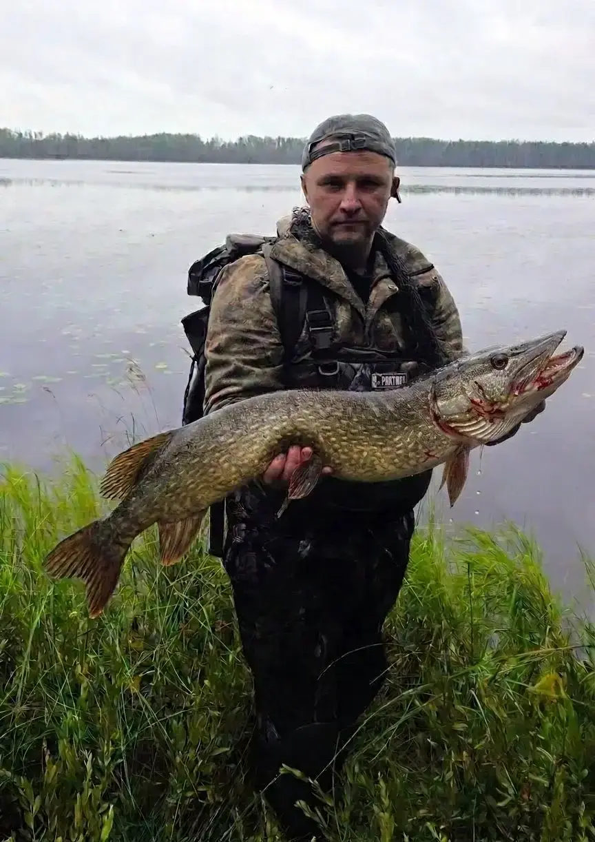 Фото из публикации 1