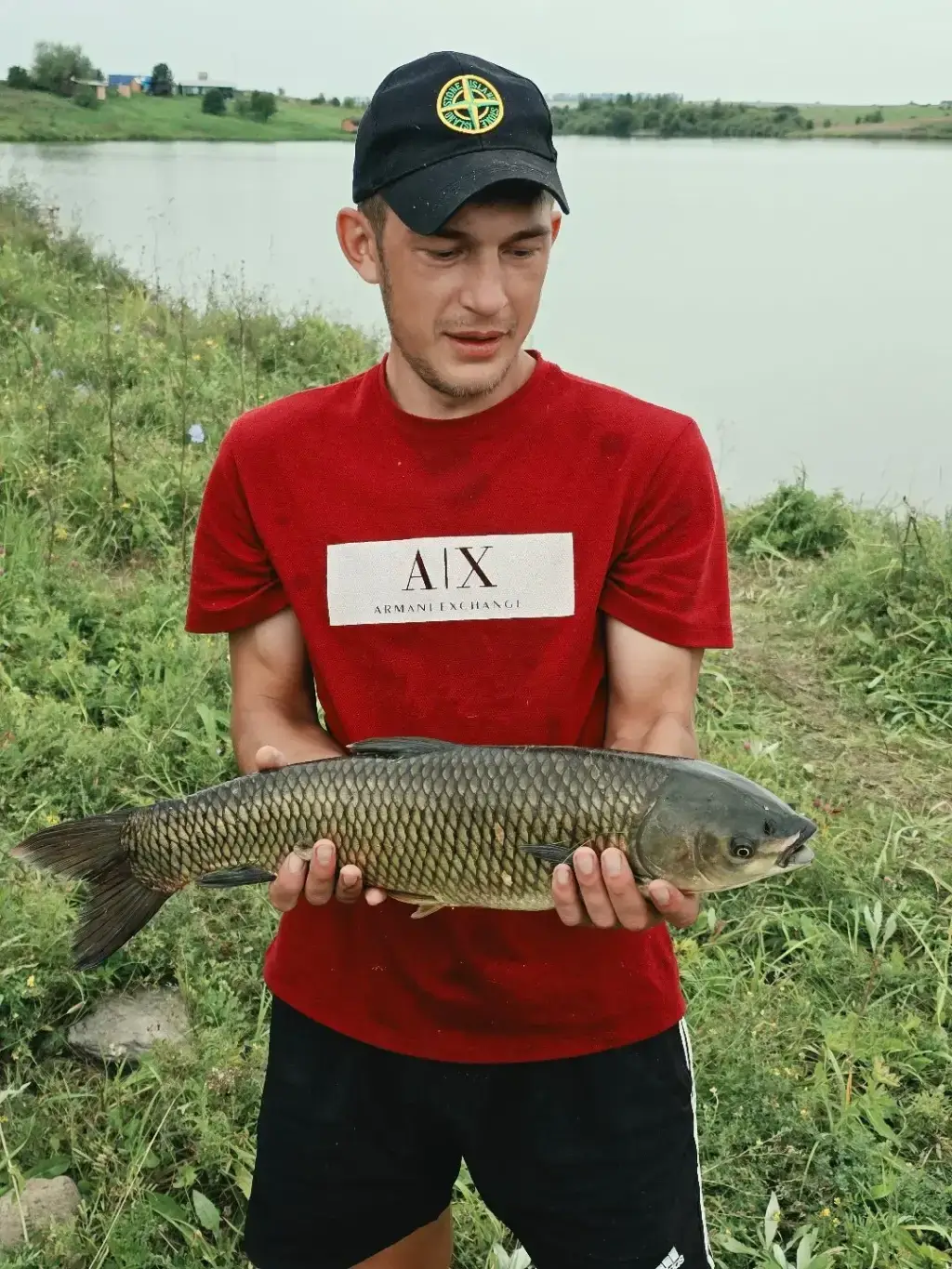 Фото из публикации 1