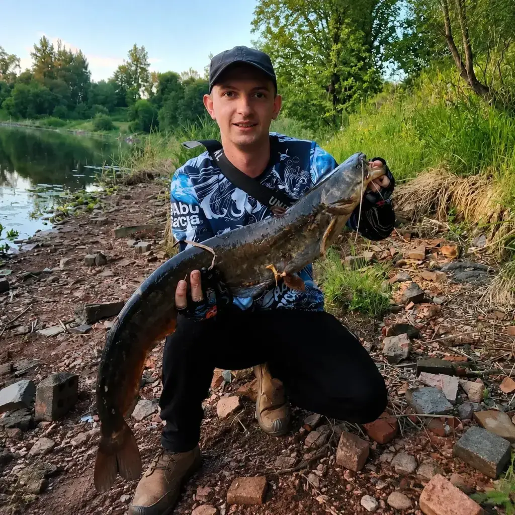 Фото из публикации 1