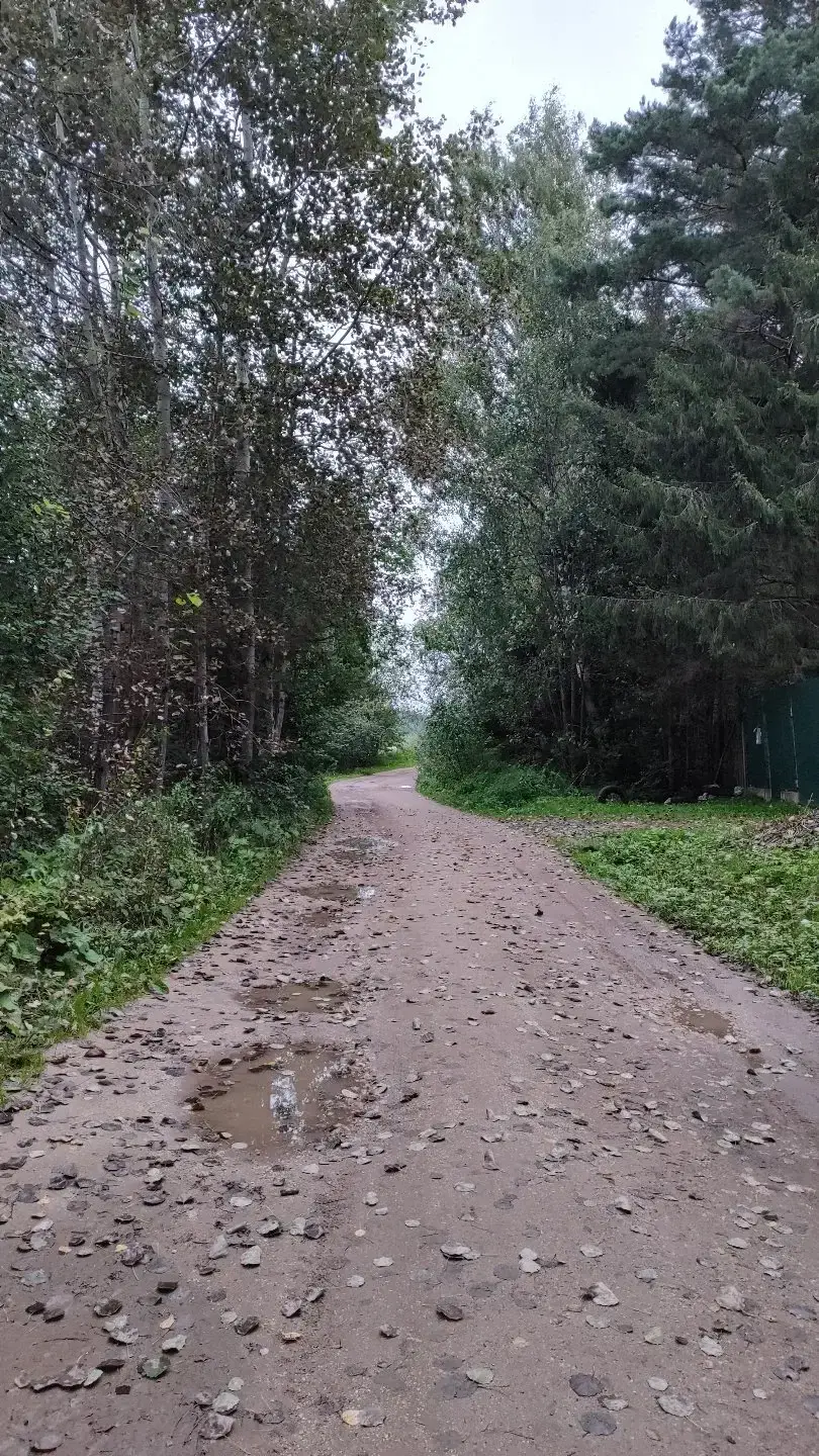 Фото из публикации 1