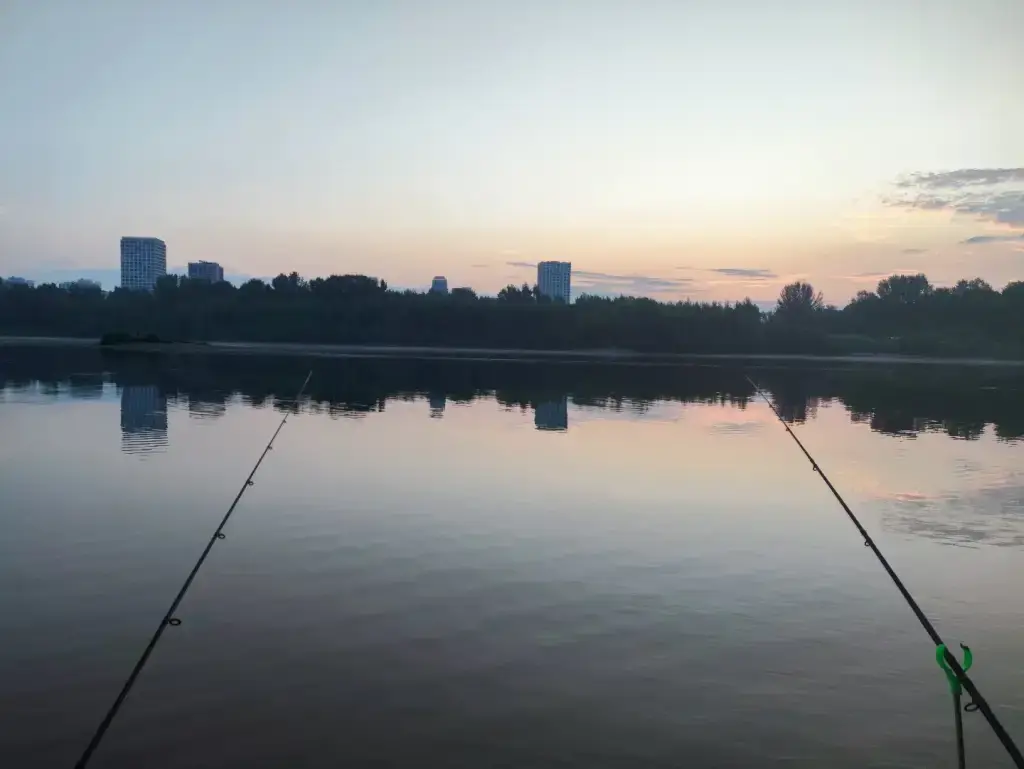 Фото из публикации 2