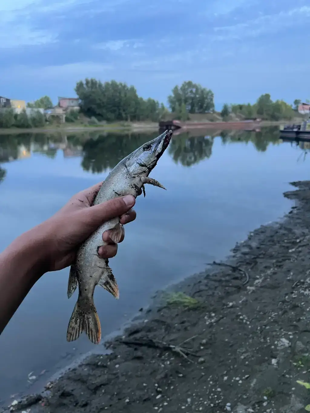 Фото из публикации 2