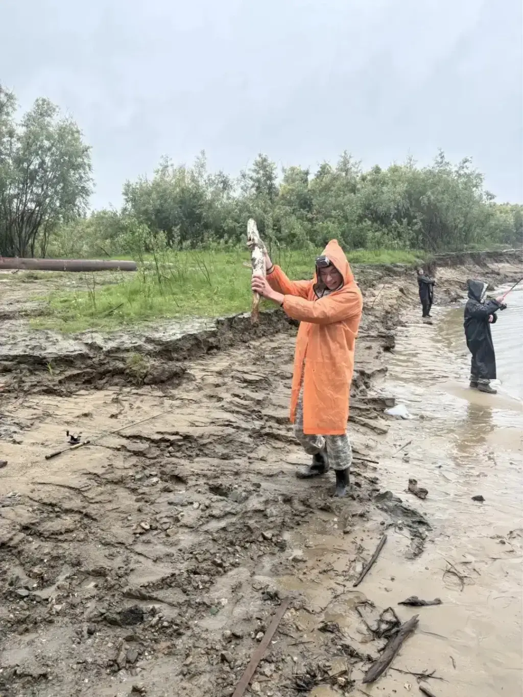 Фото из публикации 3