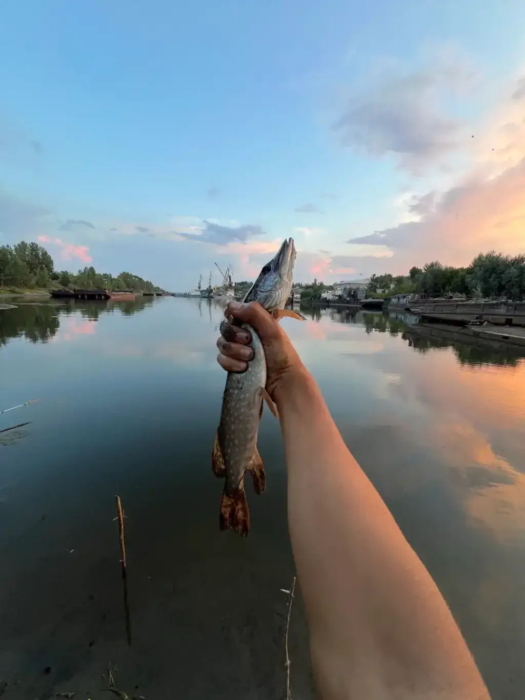Фото из публикации 1
