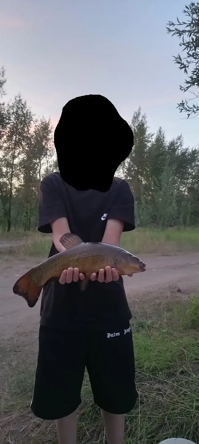 Фото из публикации 2