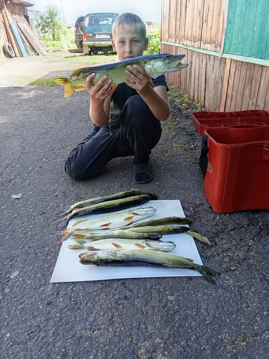 Фото из публикации 1