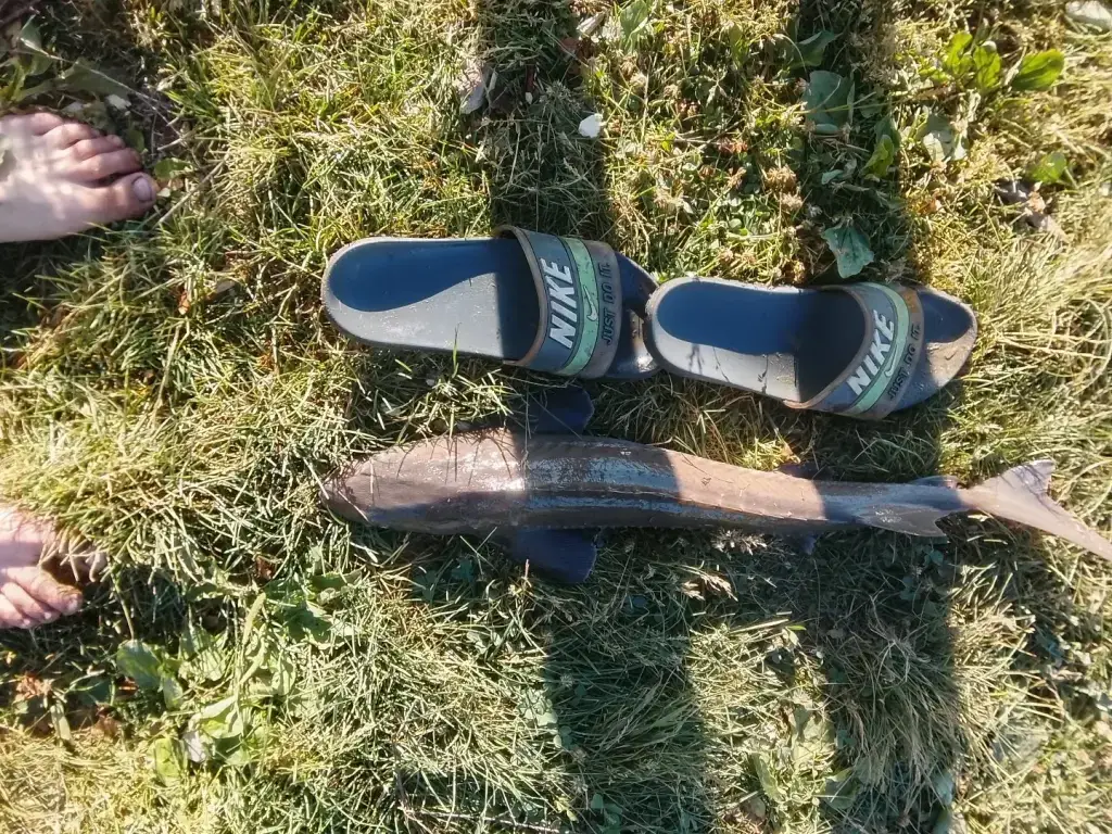 Фото из публикации 1