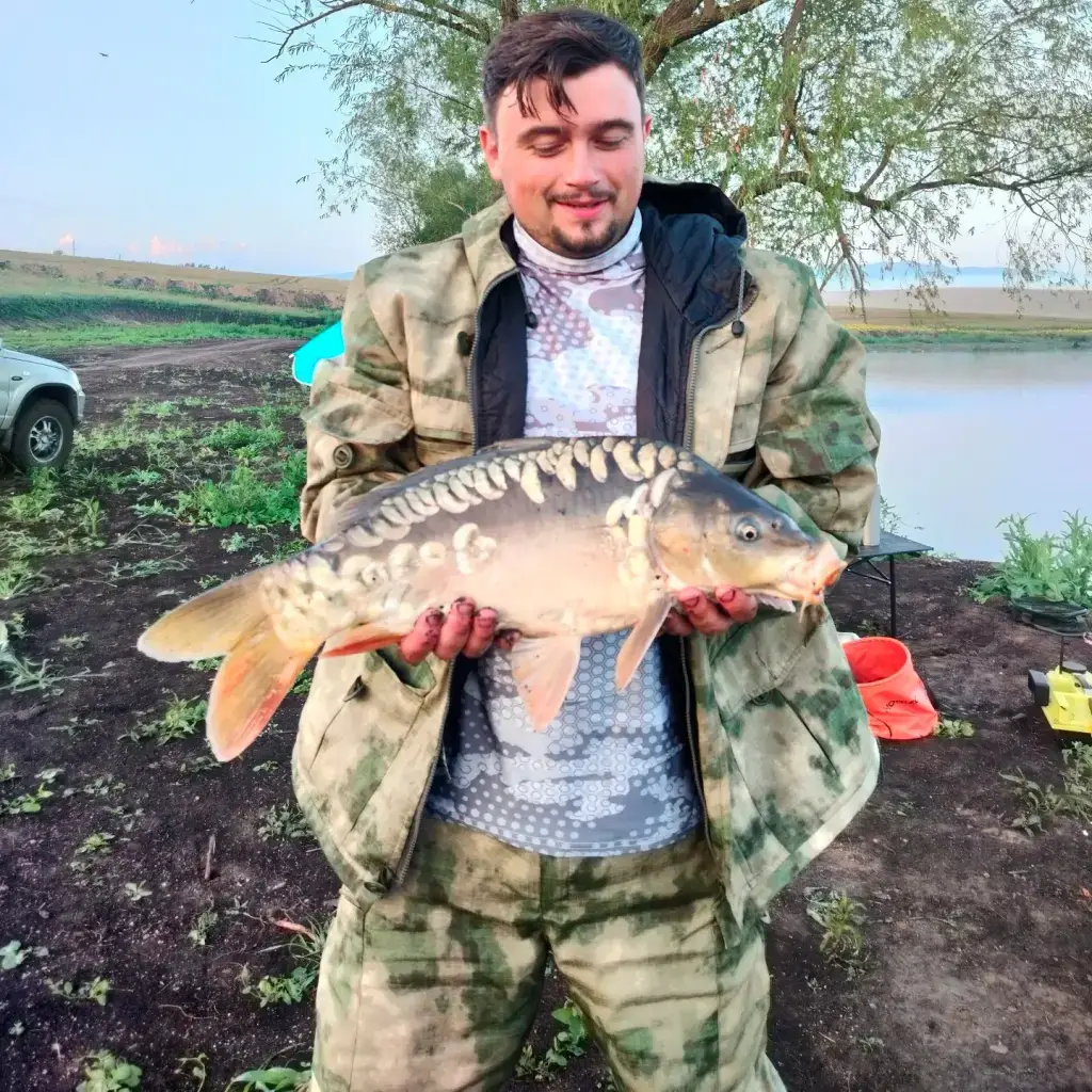 Фото из публикации 1