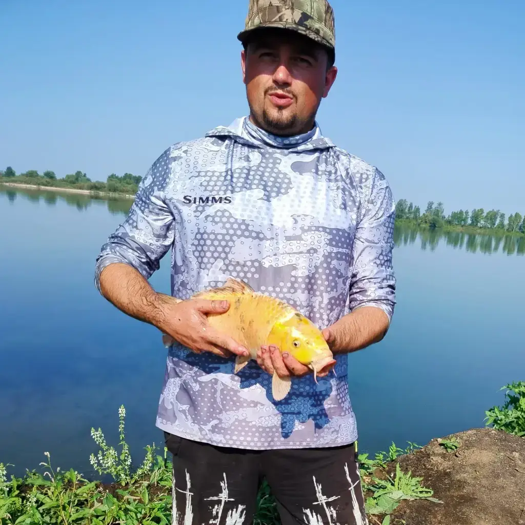 Фото из публикации 3