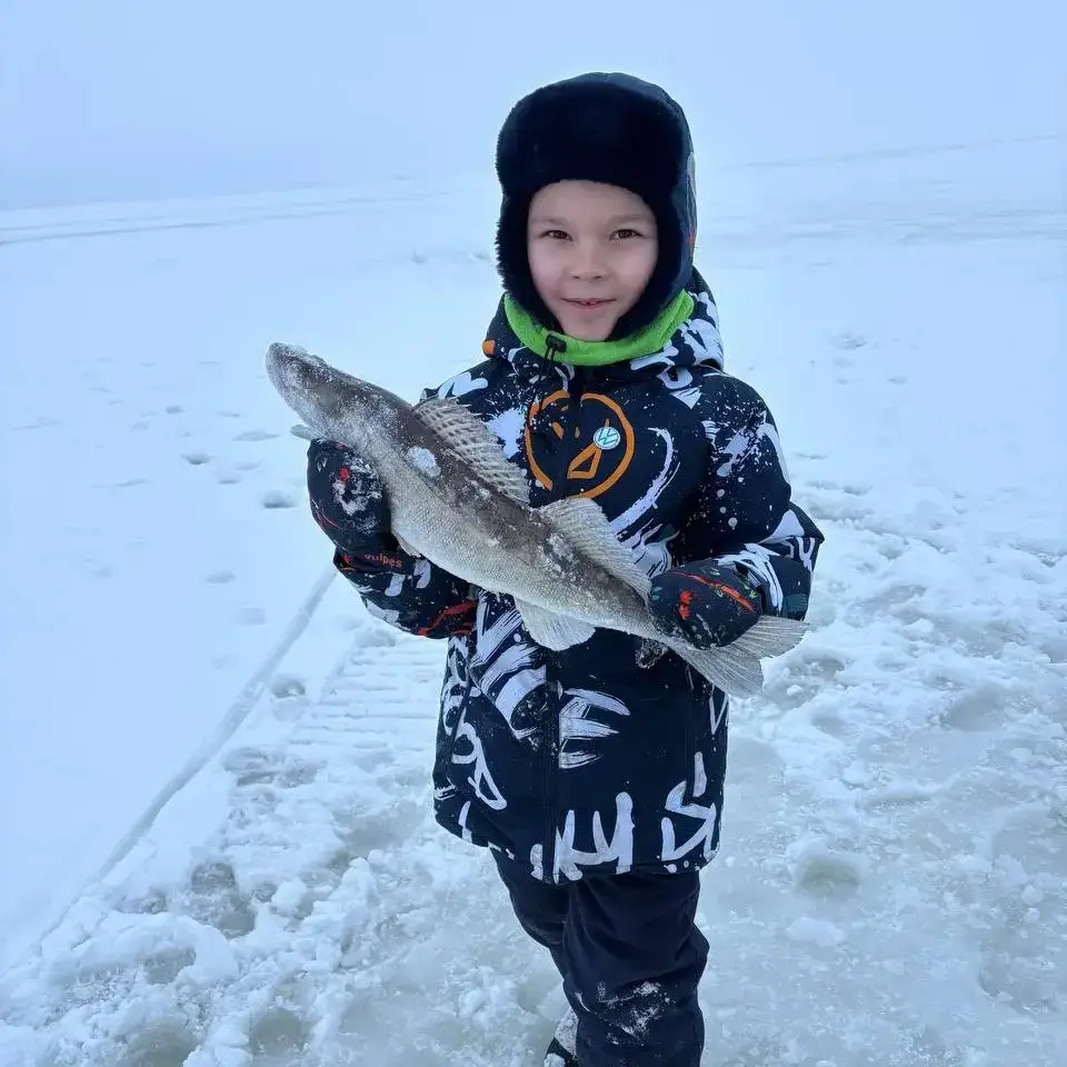 Фото из публикации 1