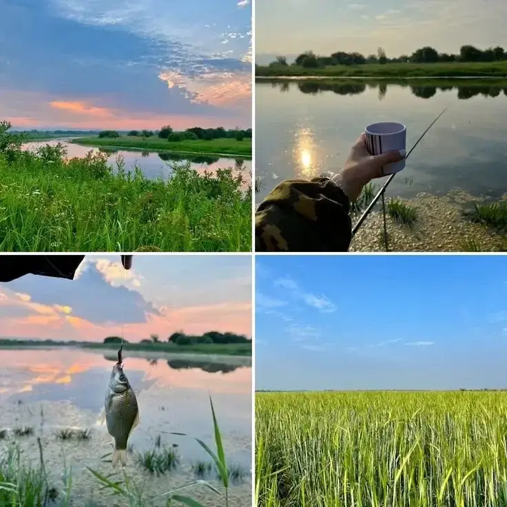 Фото из публикации 1