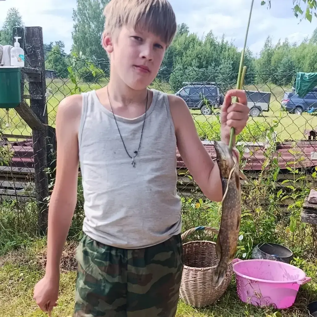 Фото из публикации 1