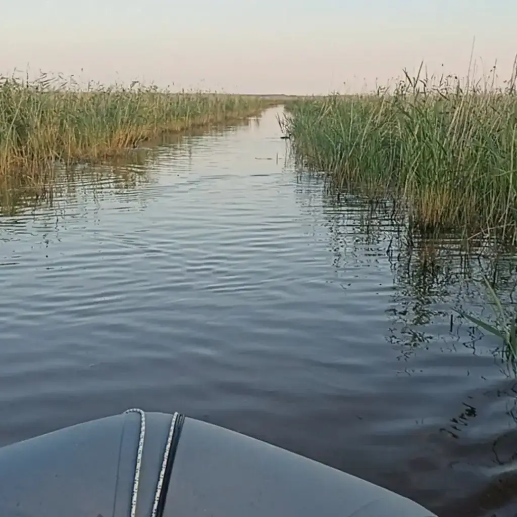 Фото из публикации 2