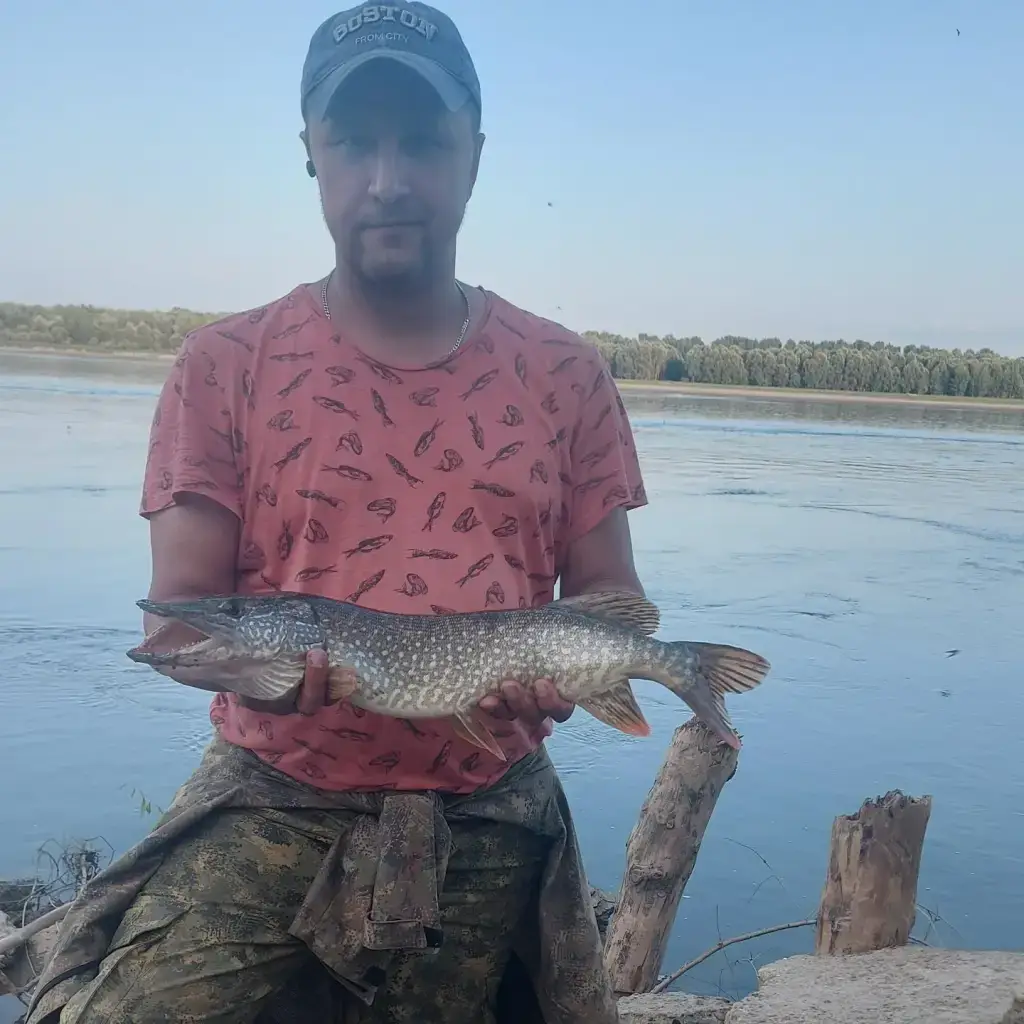 Фото из публикации 2