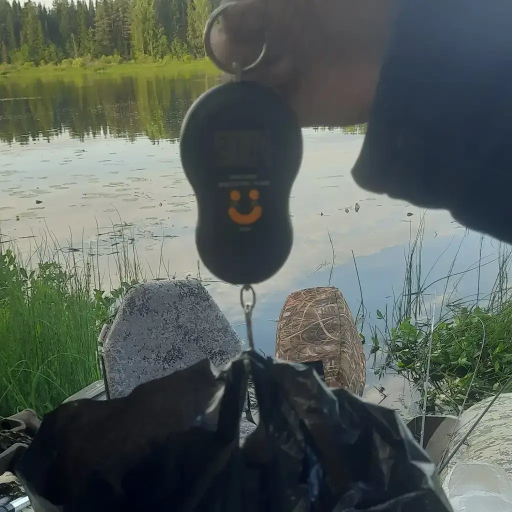 Фото из публикации 2