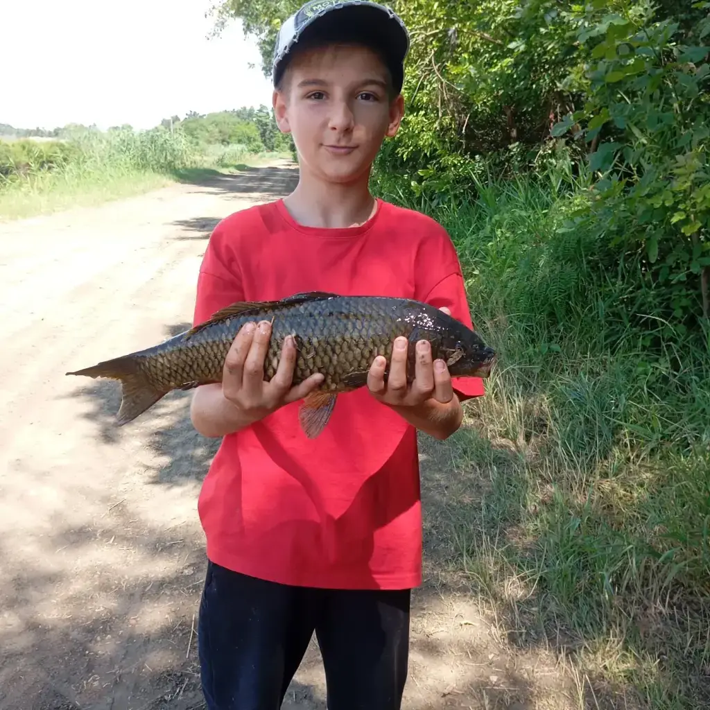 Фото из публикации 3
