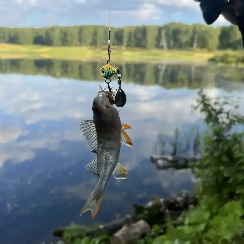 Фото из публикации 1