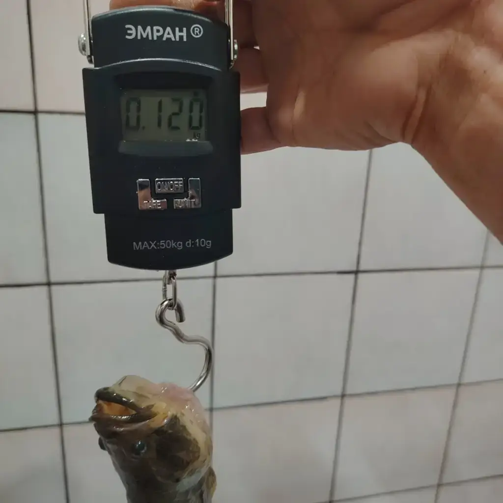 Фото из публикации 1