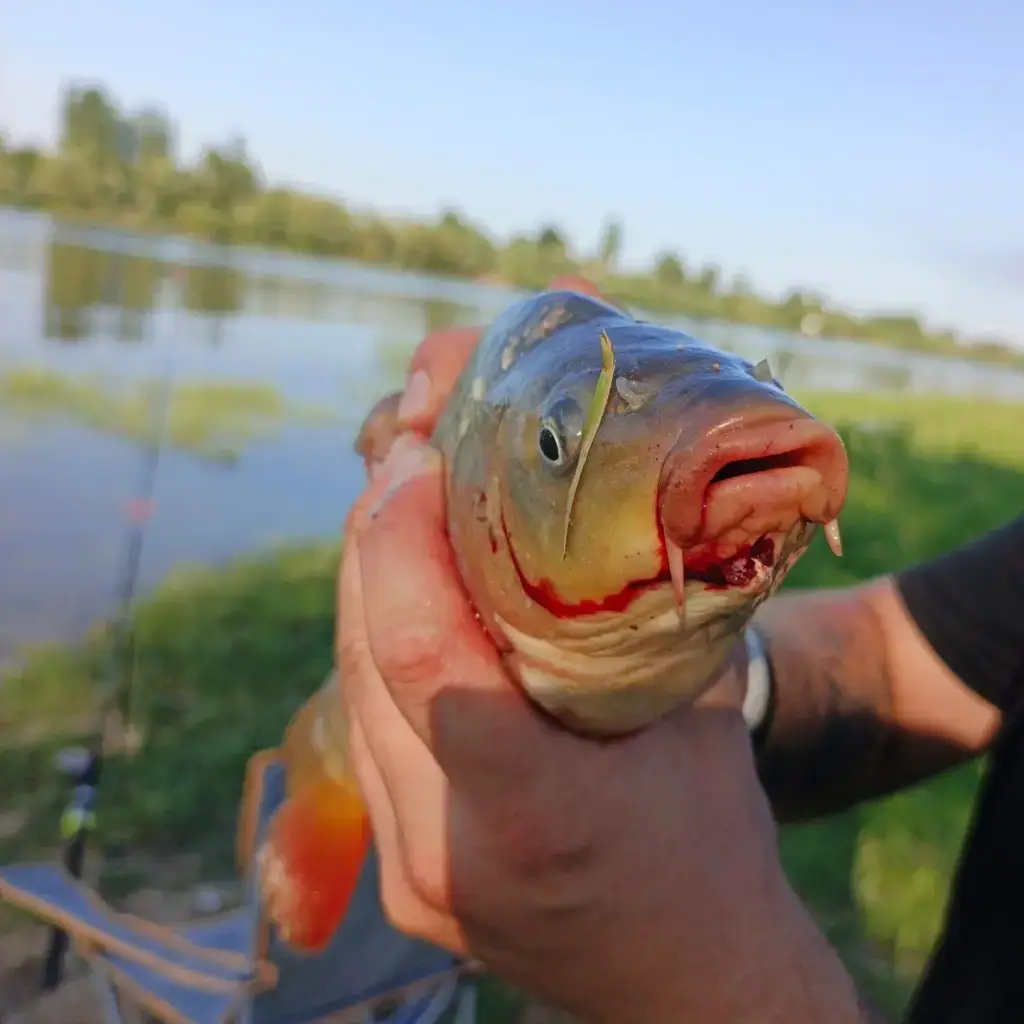 Фото из публикации 1